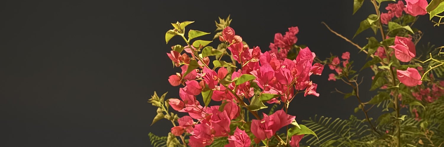 j_swari's profile banner image