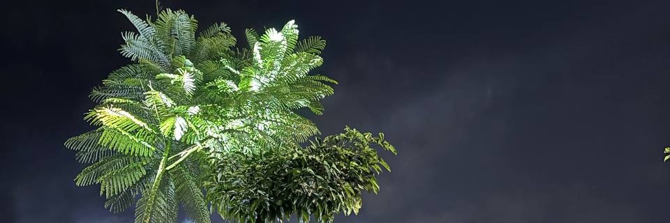 JSWNiar's profile banner image