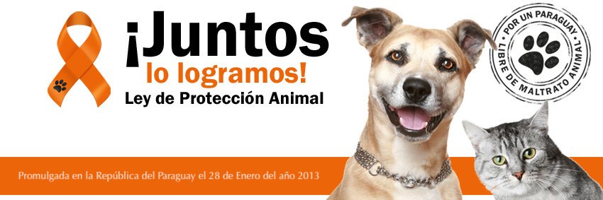 LeyAnimal_Py's profile banner image