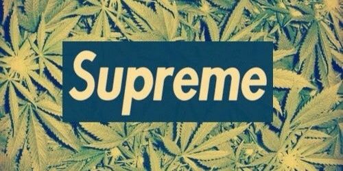 rap_reggae_weed's profile banner image