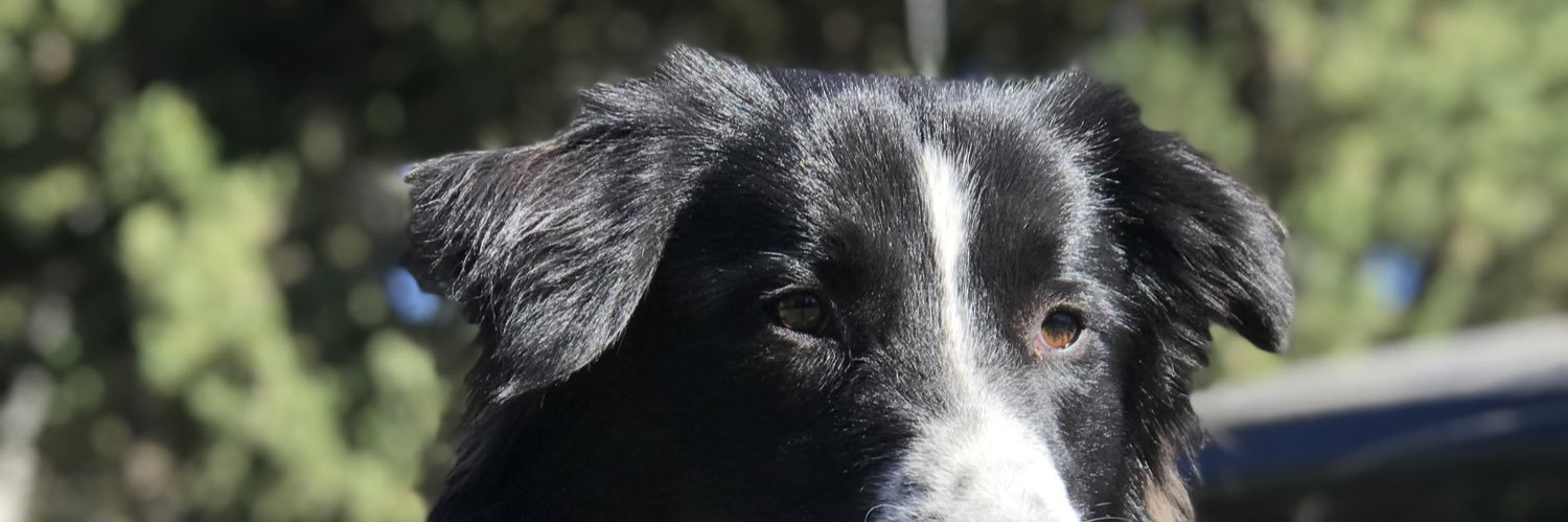 OctavioFanego's profile banner image