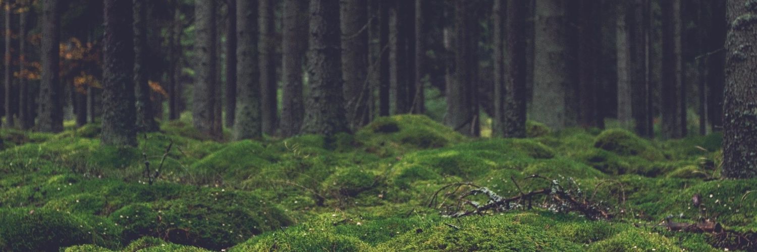 Taydo95's profile banner image