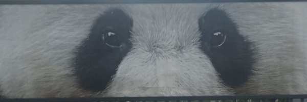 andyangel44 Profile Banner