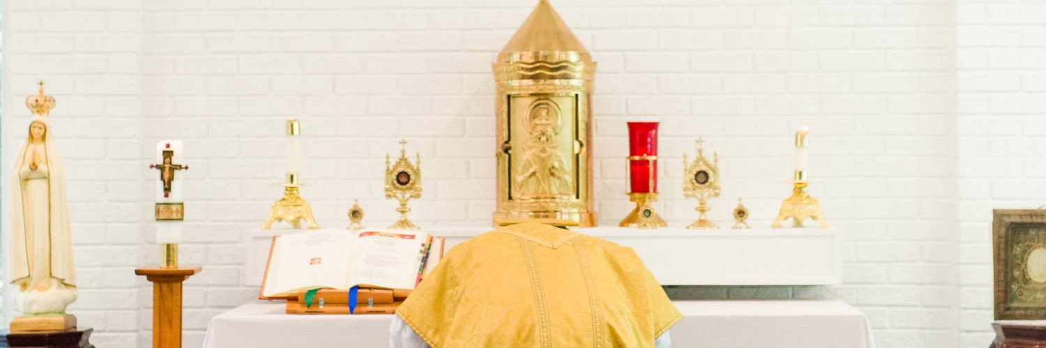 ECUNewman's profile banner image