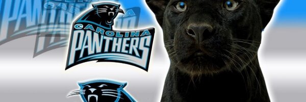 ncshoe Profile Banner