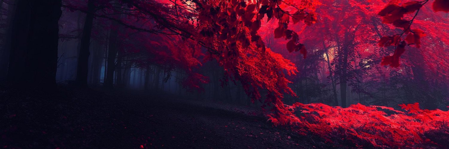 mintybreeze69's profile banner image