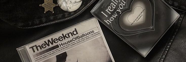 🐞 banner
