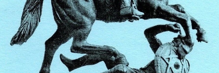 FunkyMunkyLuv's profile banner image
