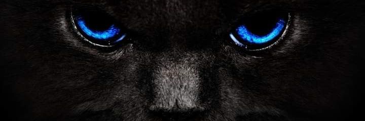 ⒶⓃⒶ ⓀⒶⓇⒾⓃⒶ ♈ 🏳️‍🌈 banner