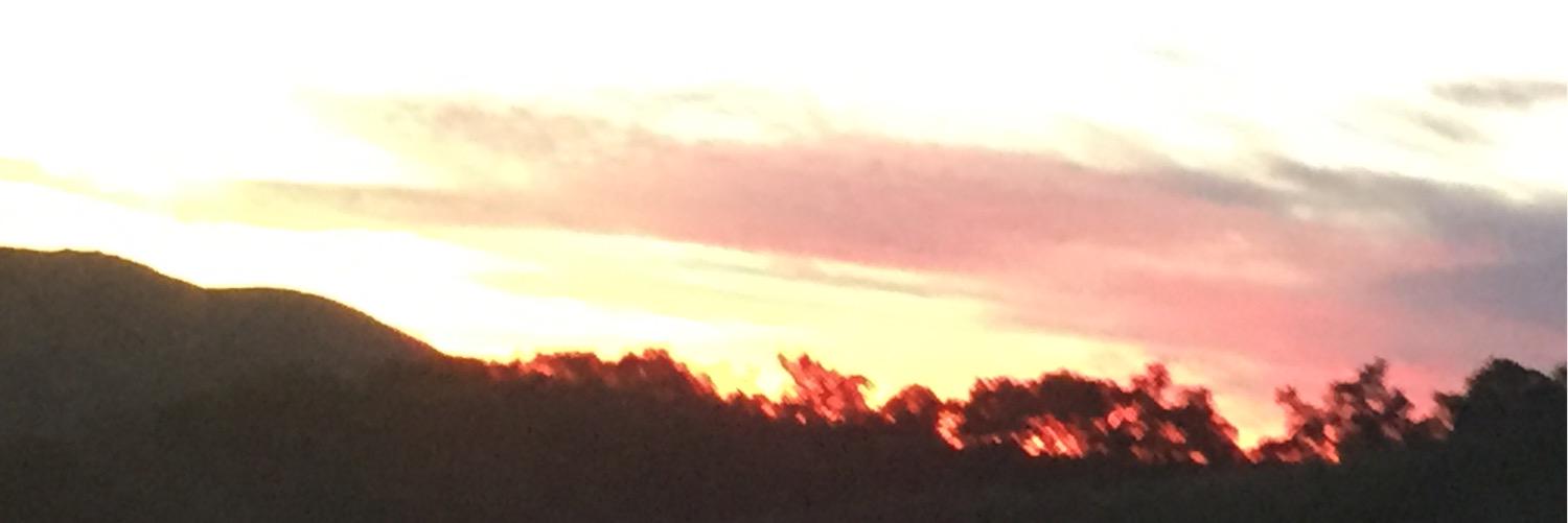 lynnyp174's profile banner image