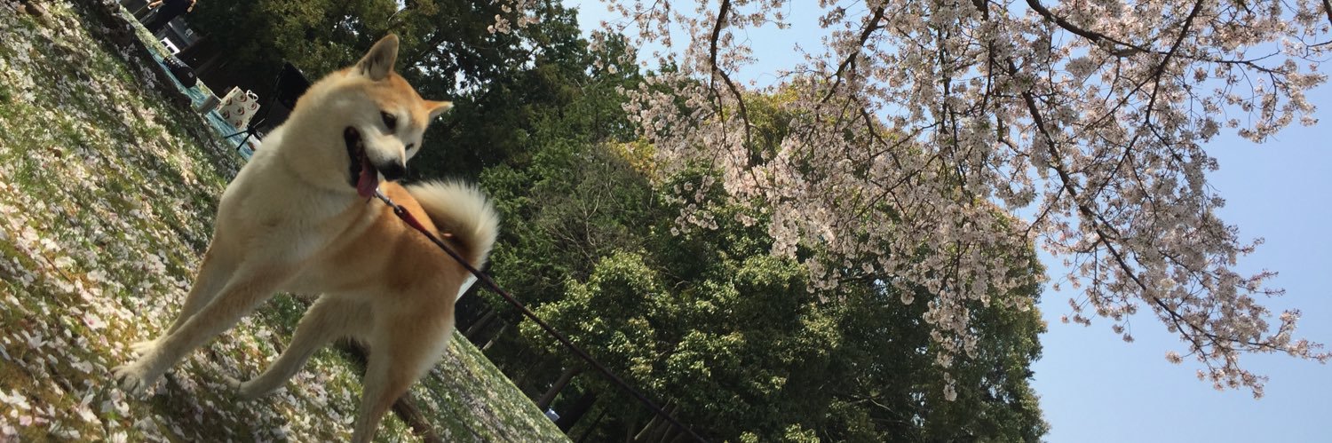 ふんすい / suzukey banner