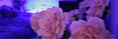 himawariana's profile banner image