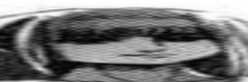 sltcyanus's profile banner image
