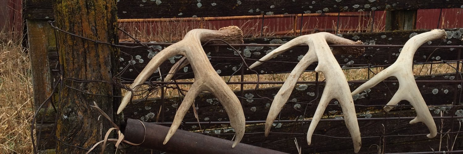 Red Rising TV banner