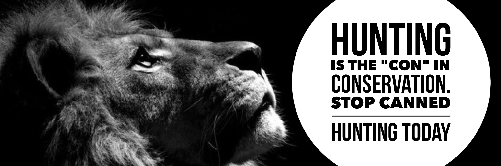 pachgroup's profile banner image