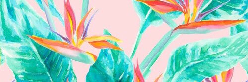 isavazm's profile banner image