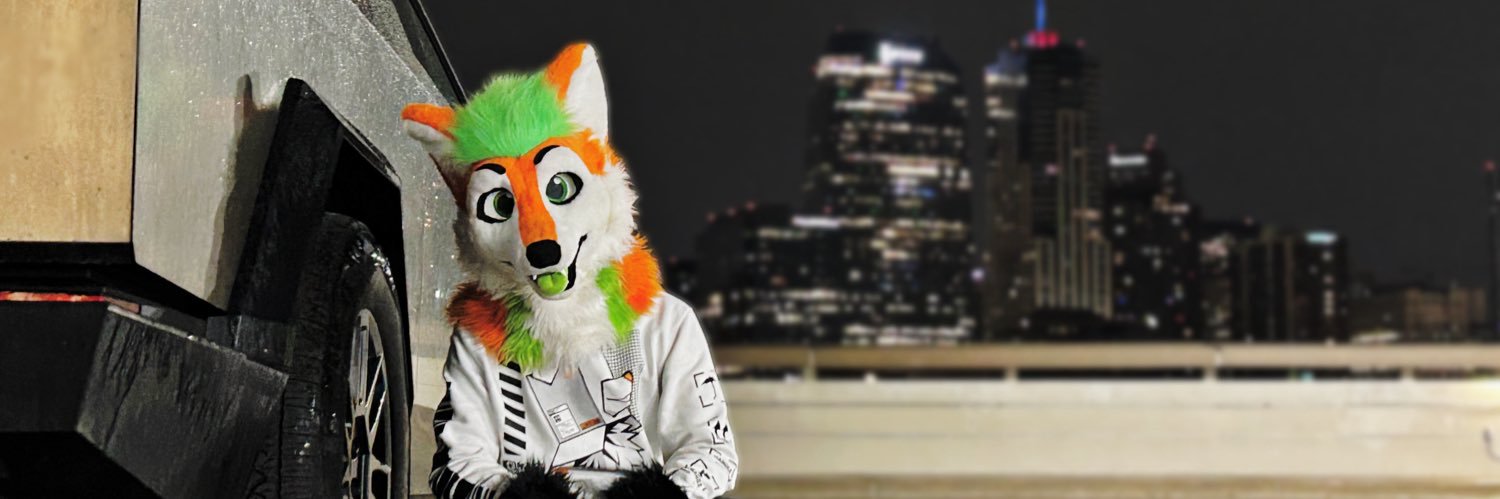 TheFlashingFox banner