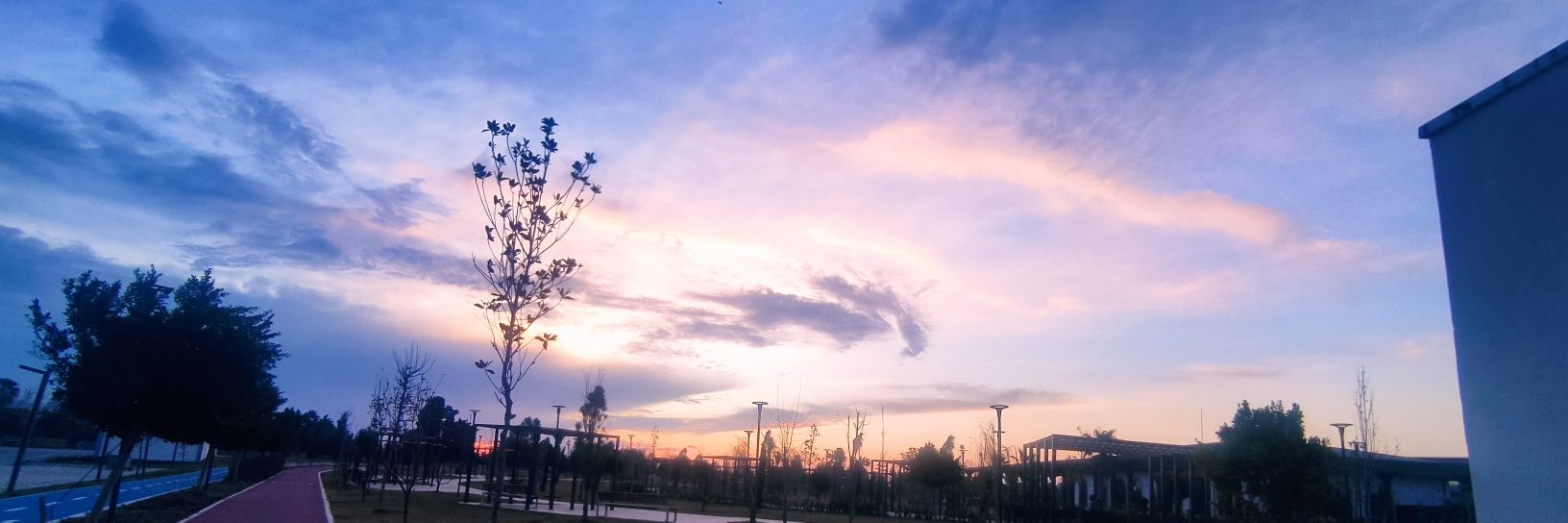 CicekHuda's profile banner image