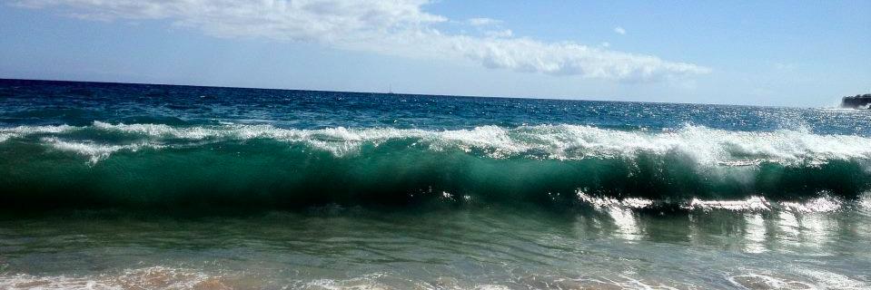 tempestalove's profile banner image