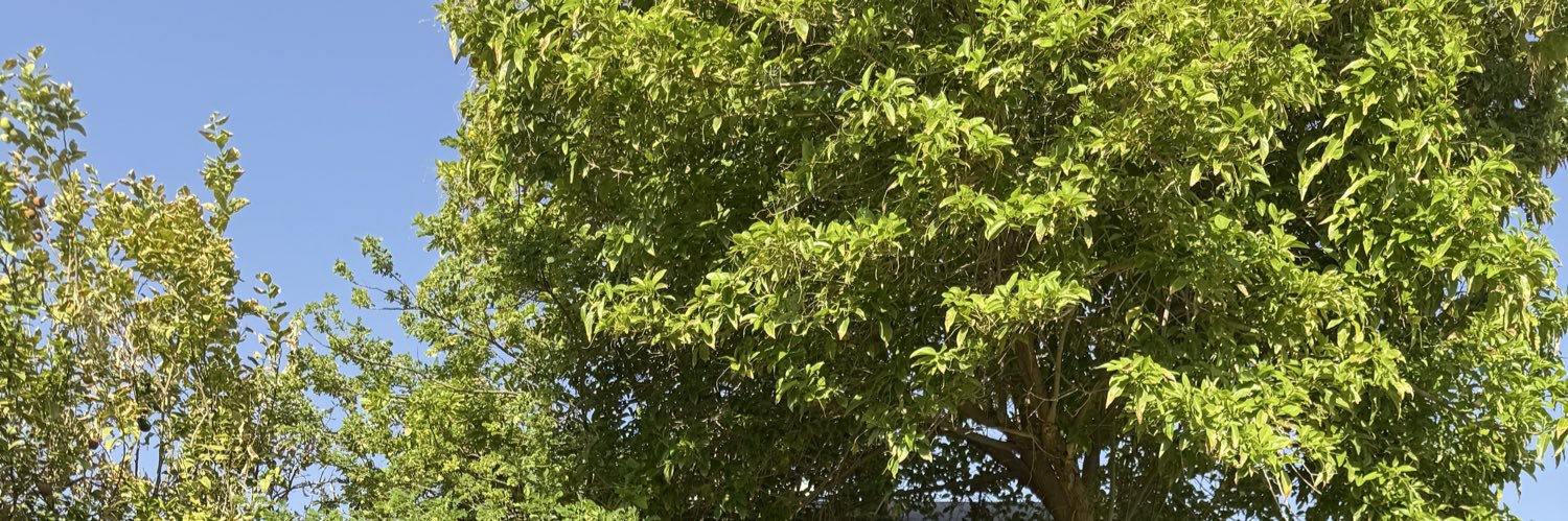 عبدالله الحربي banner