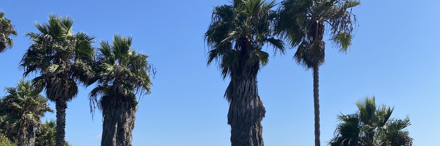 alliharrington1's profile banner image