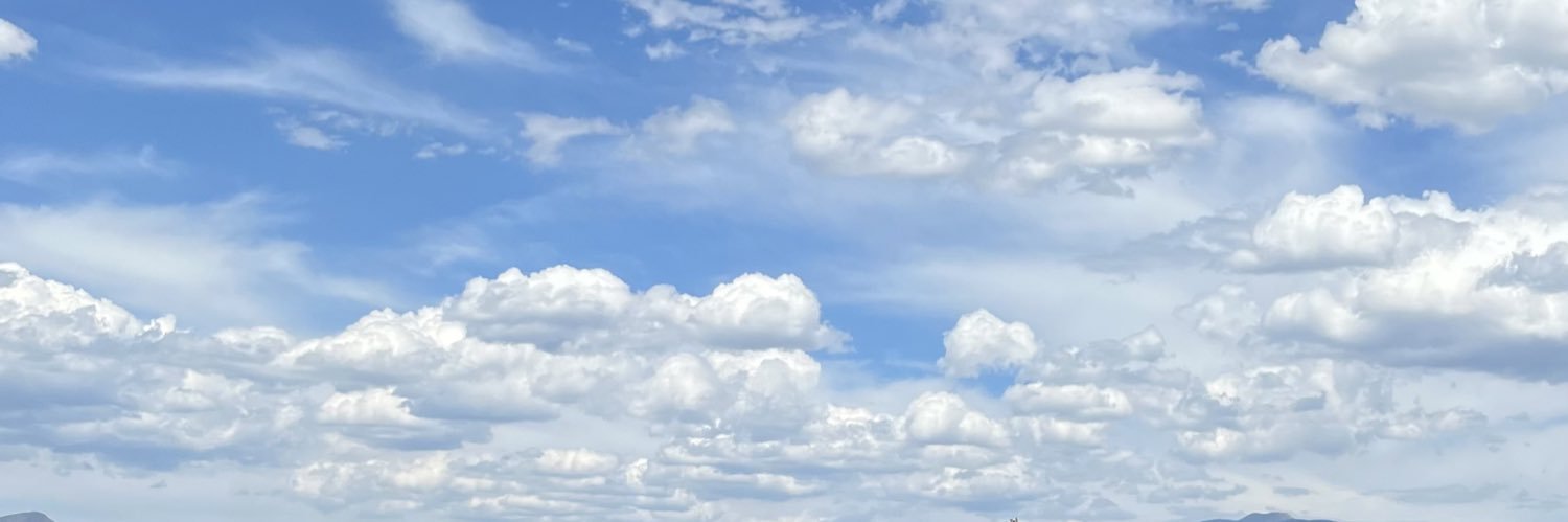 daliuchis banner