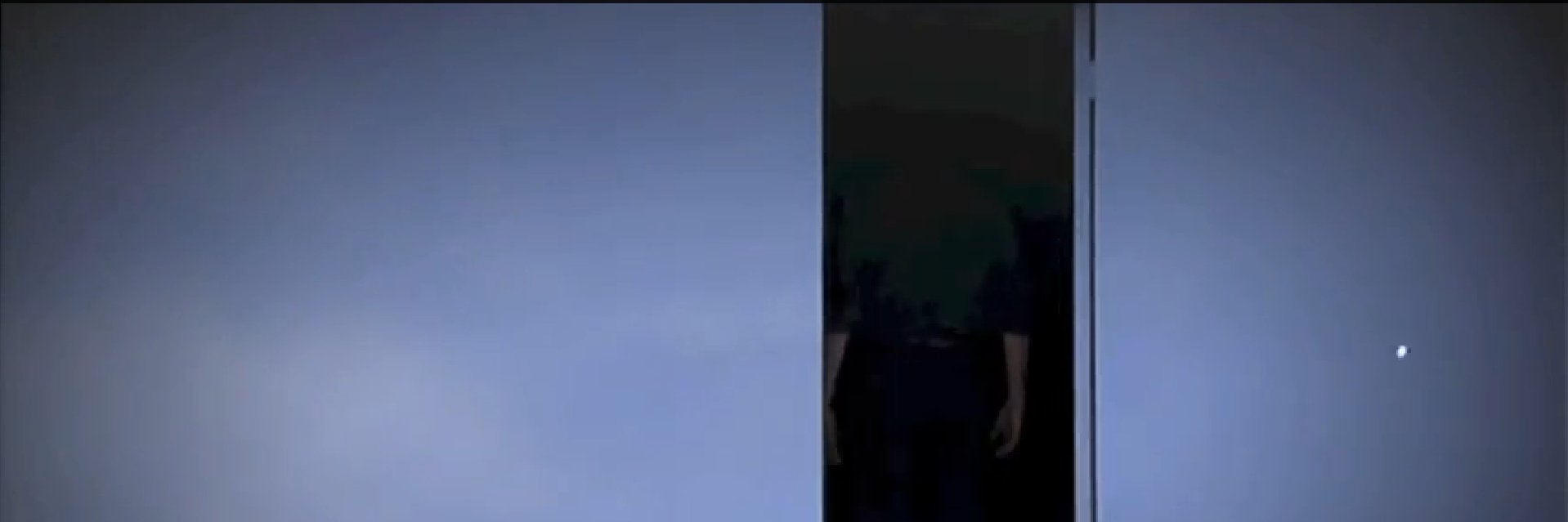 Mural da Liberdade banner