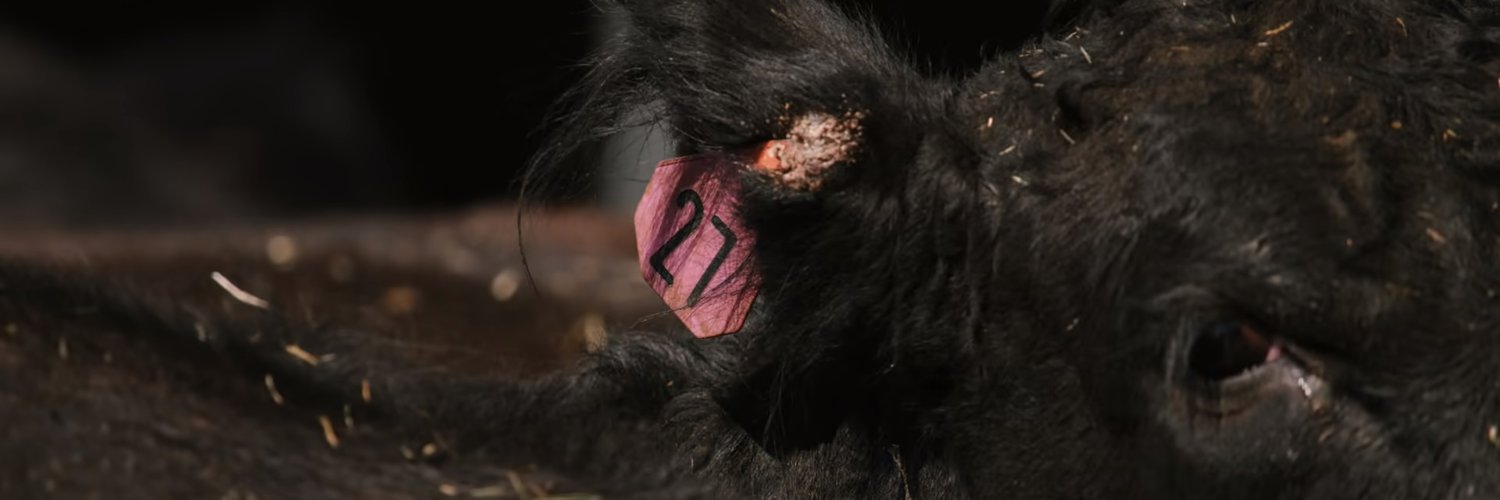 affzzzip's profile banner image
