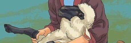 fiveheep's profile banner image