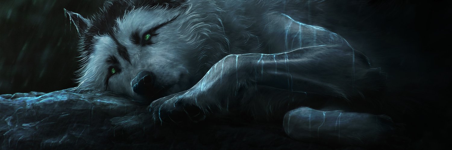 Lobodegelo's profile banner image