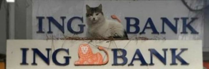 chin banner