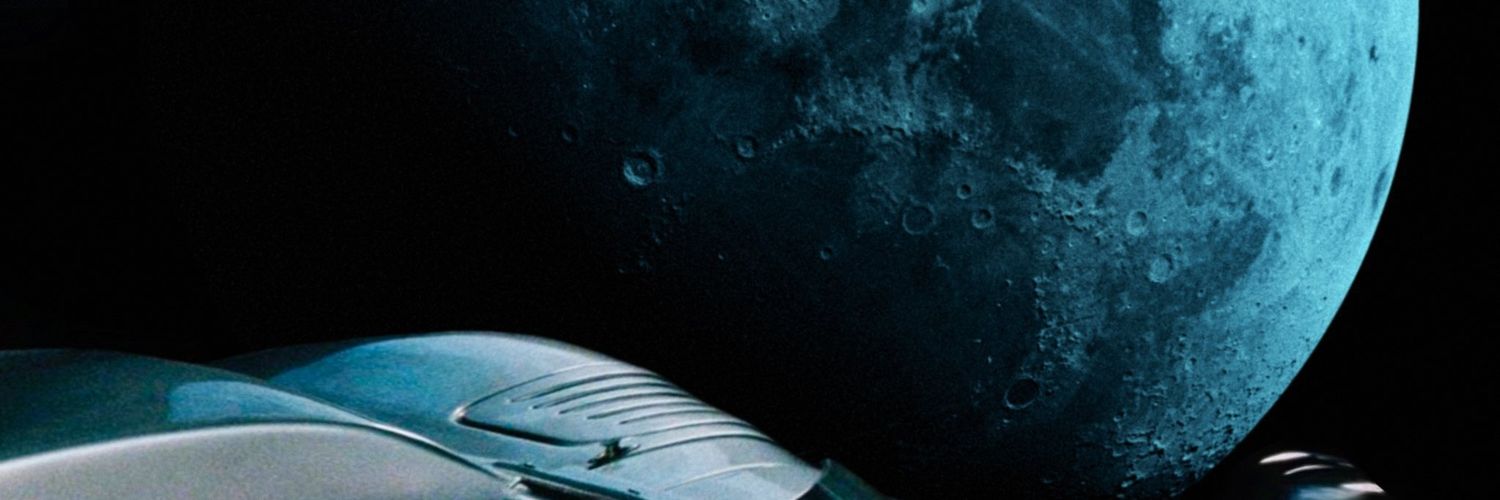 xulipaa's profile banner image