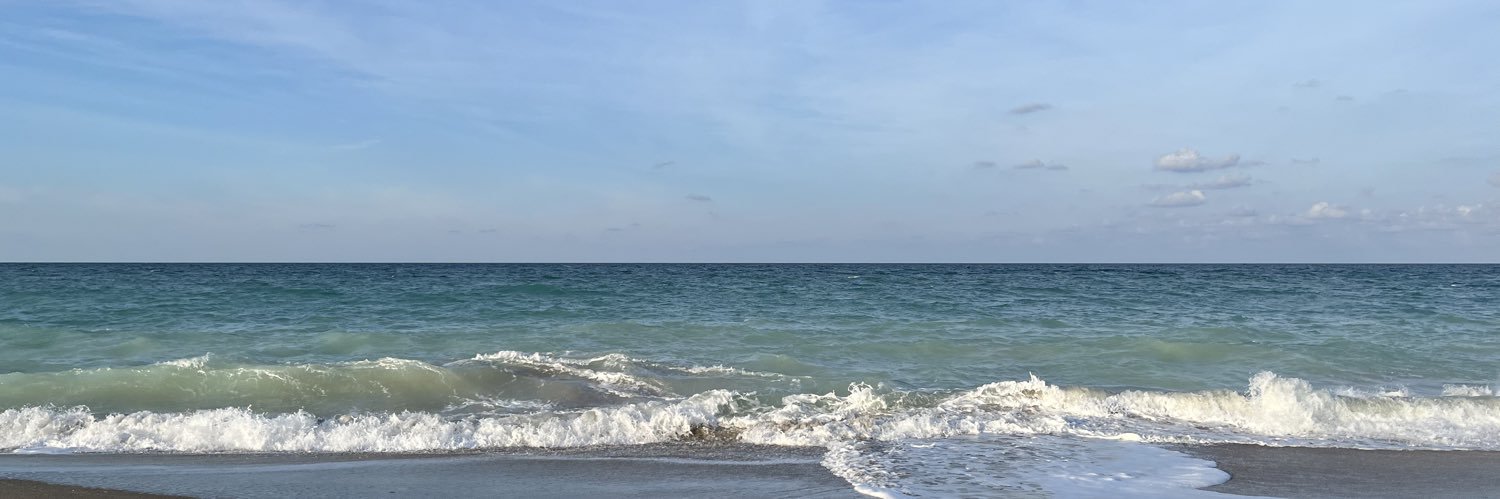 SaltyHamAnt's profile banner image