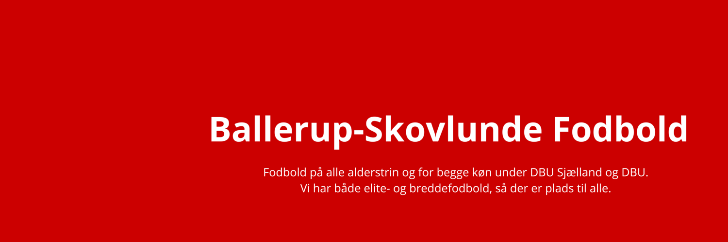 bsfodbold's profile banner image