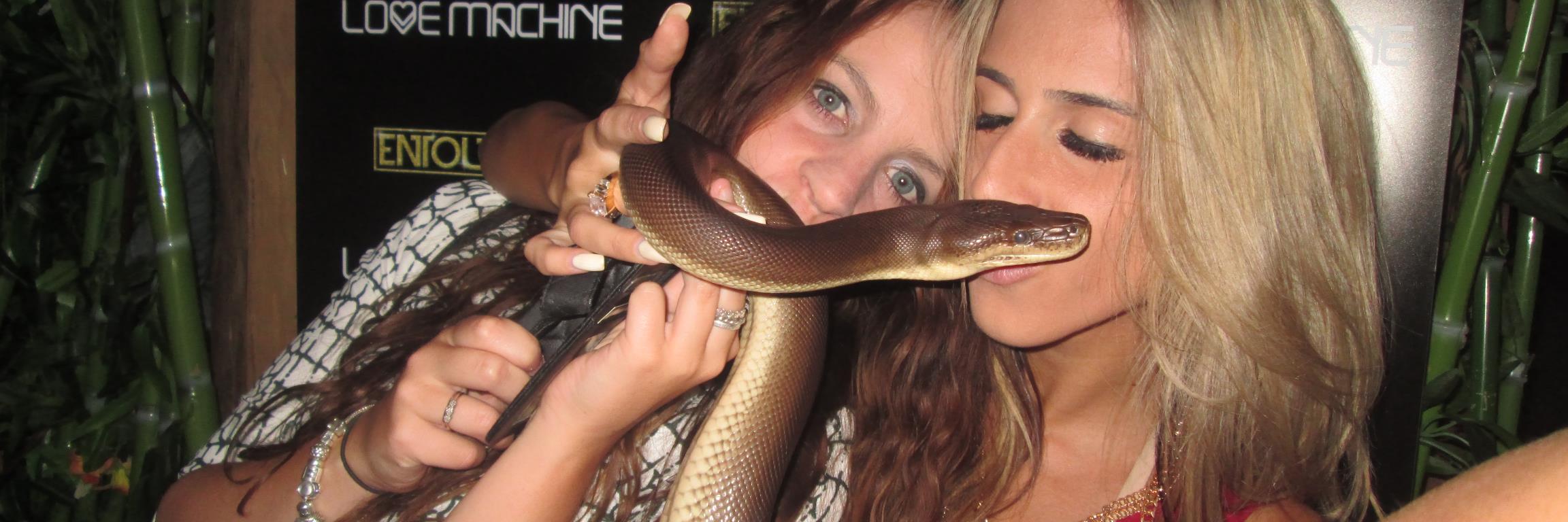 thesnakehandler's profile banner image