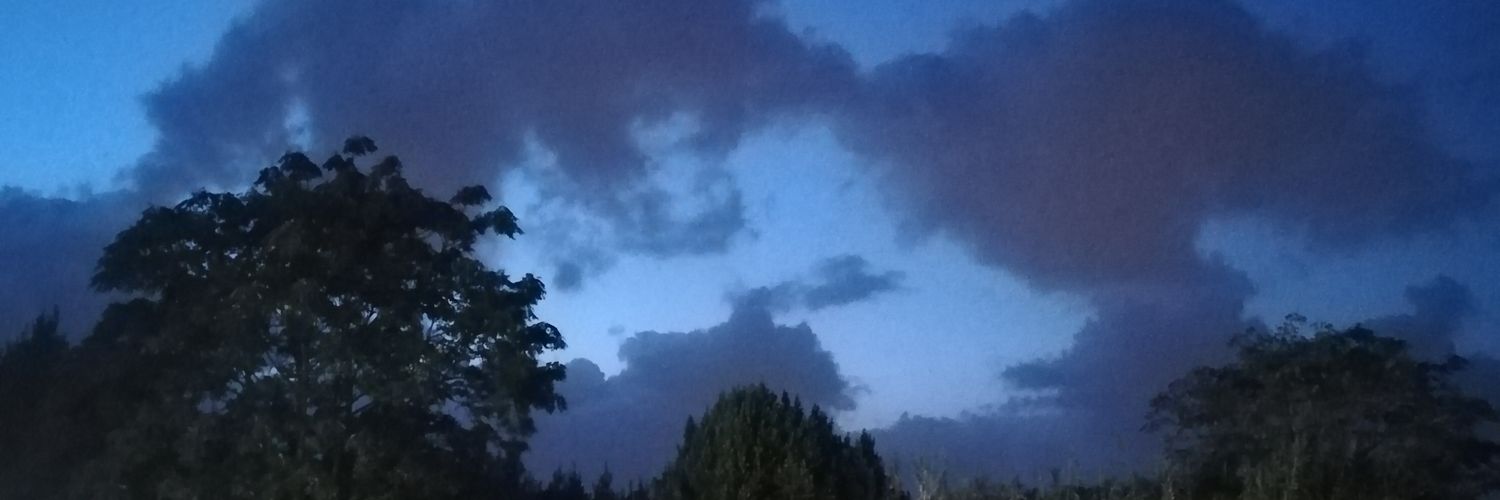 Gianniggc's profile banner image