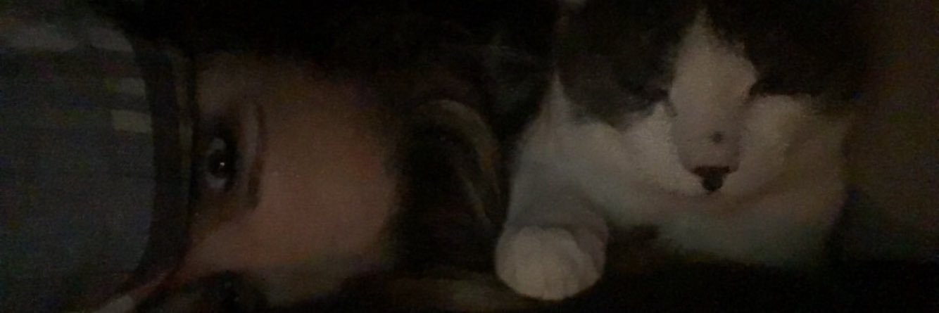 audiee_bug's profile banner image