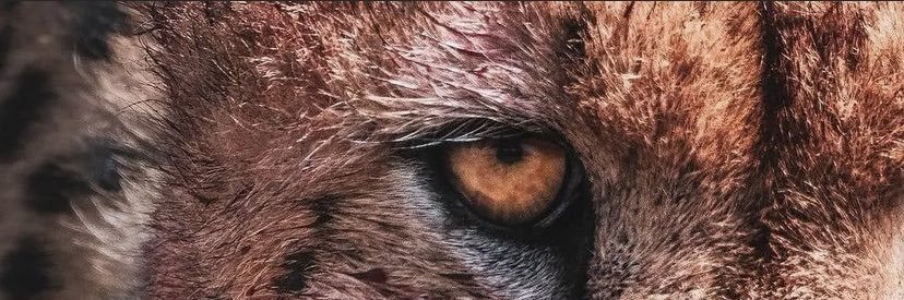 EasyMoneyTy_'s profile banner image