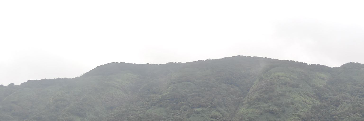 Techy Farooqui banner