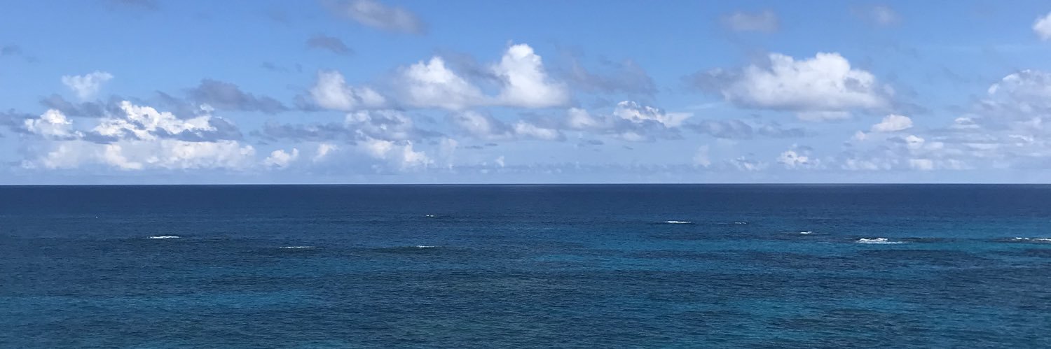 ceperrine13's profile banner image