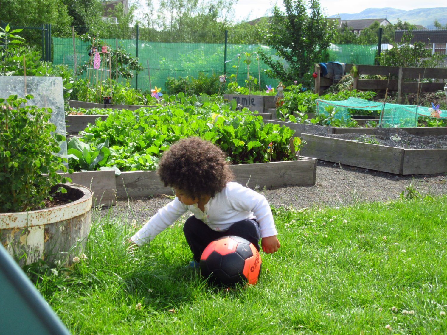 PowerOfFoodFestival banner