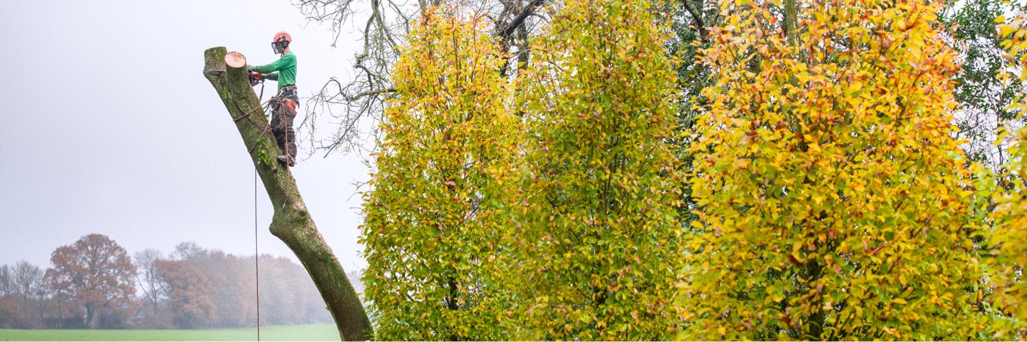 absolute_max's profile banner image