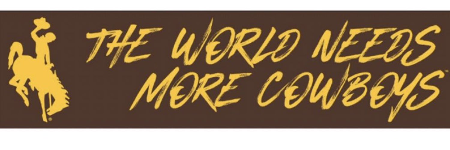 liz__cheney's profile banner image