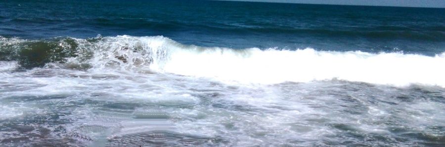 Viviana_Rodher's profile banner image