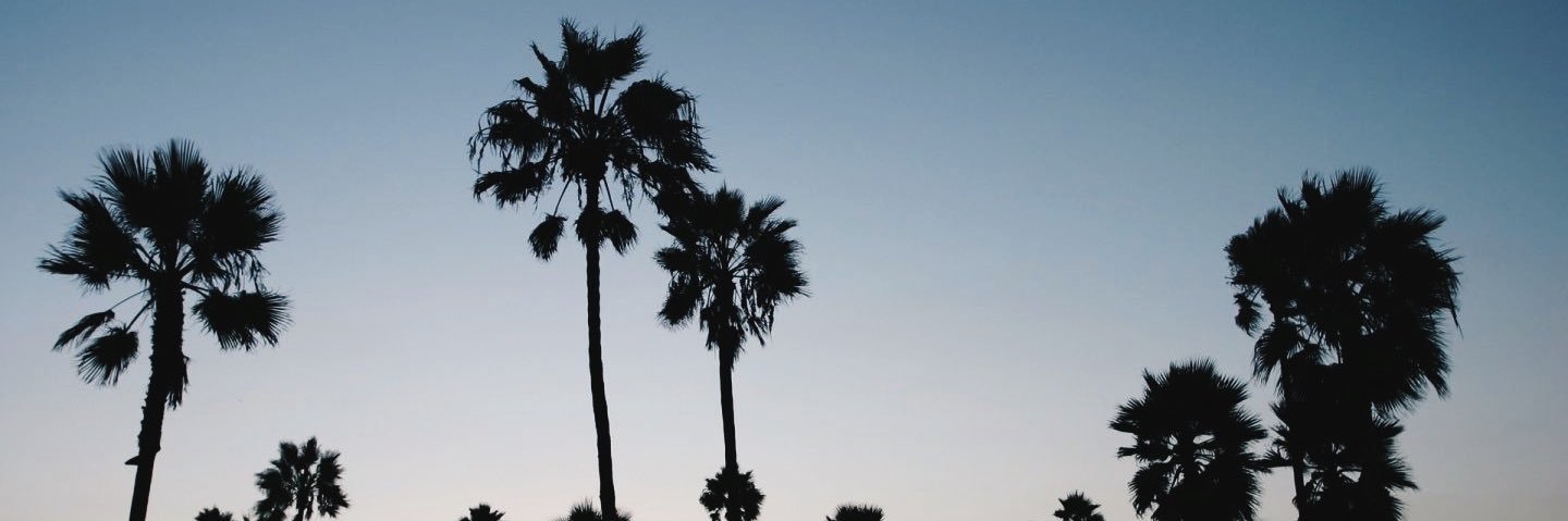 britrchey's profile banner image