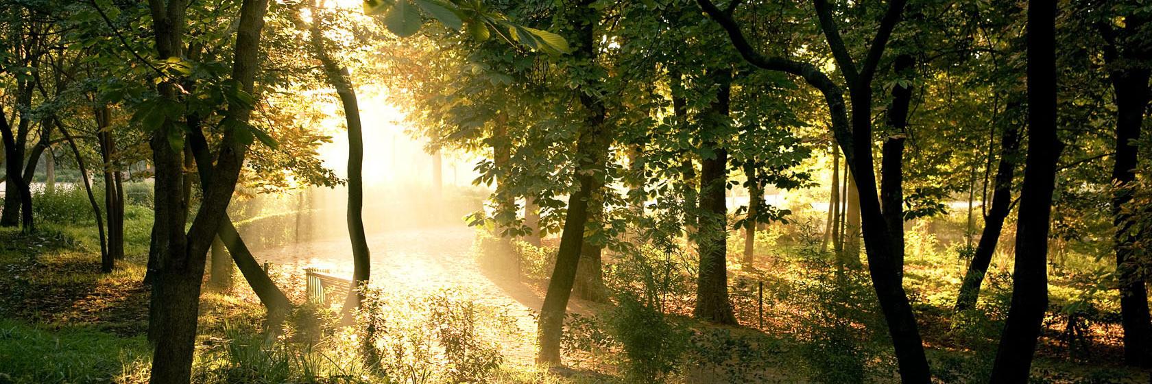 ThinkNaturalMag's profile banner image
