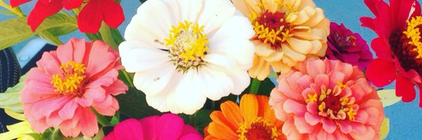 RobinL777 Profile Banner