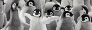 deweyslush's profile banner image