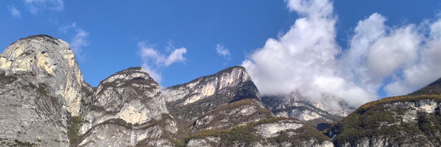 Federico Cologna banner