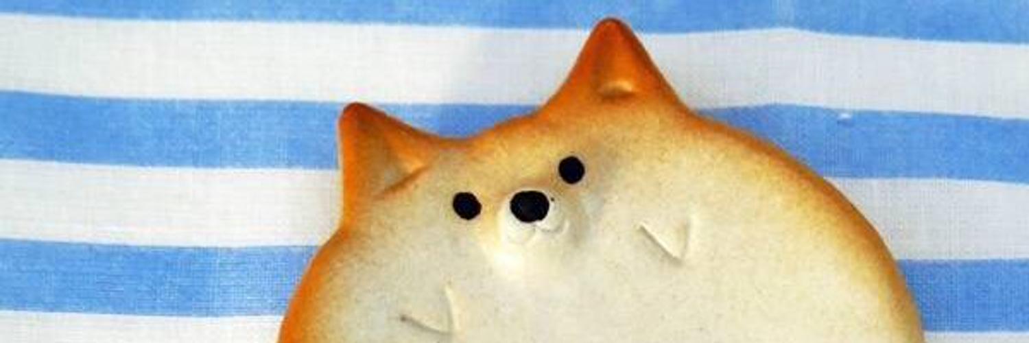 fanruojay's profile banner image